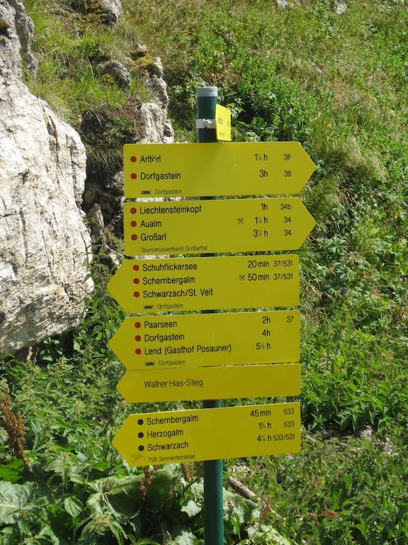 Bergparadies - Inklusive Eintritt In Die Alpentherme Дорфгаштайн Екстер'єр фото