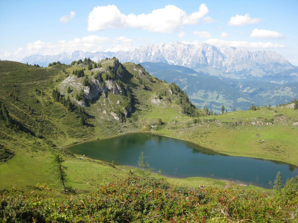 Bergparadies - Inklusive Eintritt In Die Alpentherme Дорфгаштайн Екстер'єр фото