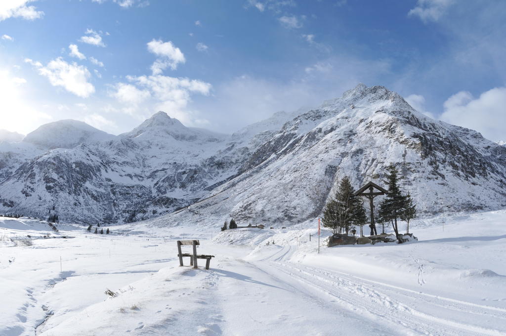 Bergparadies - Inklusive Eintritt In Die Alpentherme Дорфгаштайн Екстер'єр фото